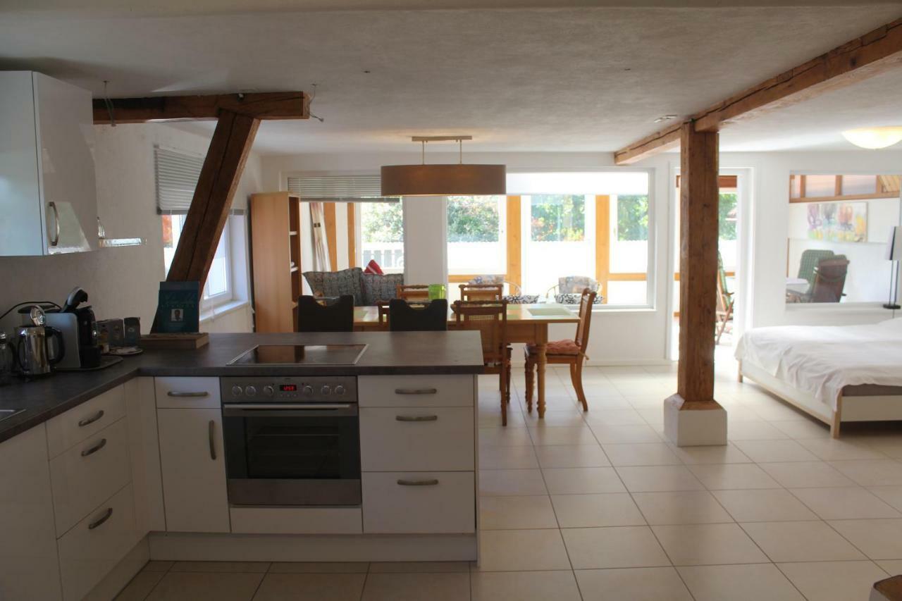 Ferienwohnung-Dorothe Rheinau Exterior foto